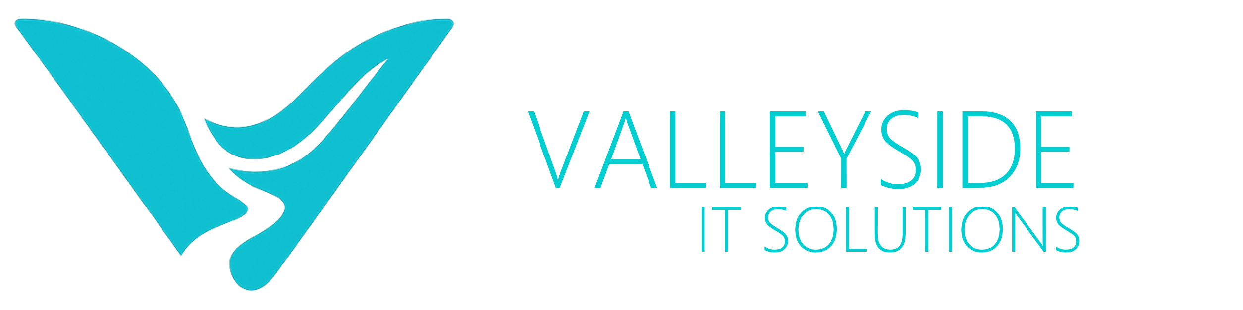 バレーサイドITソリューションズ