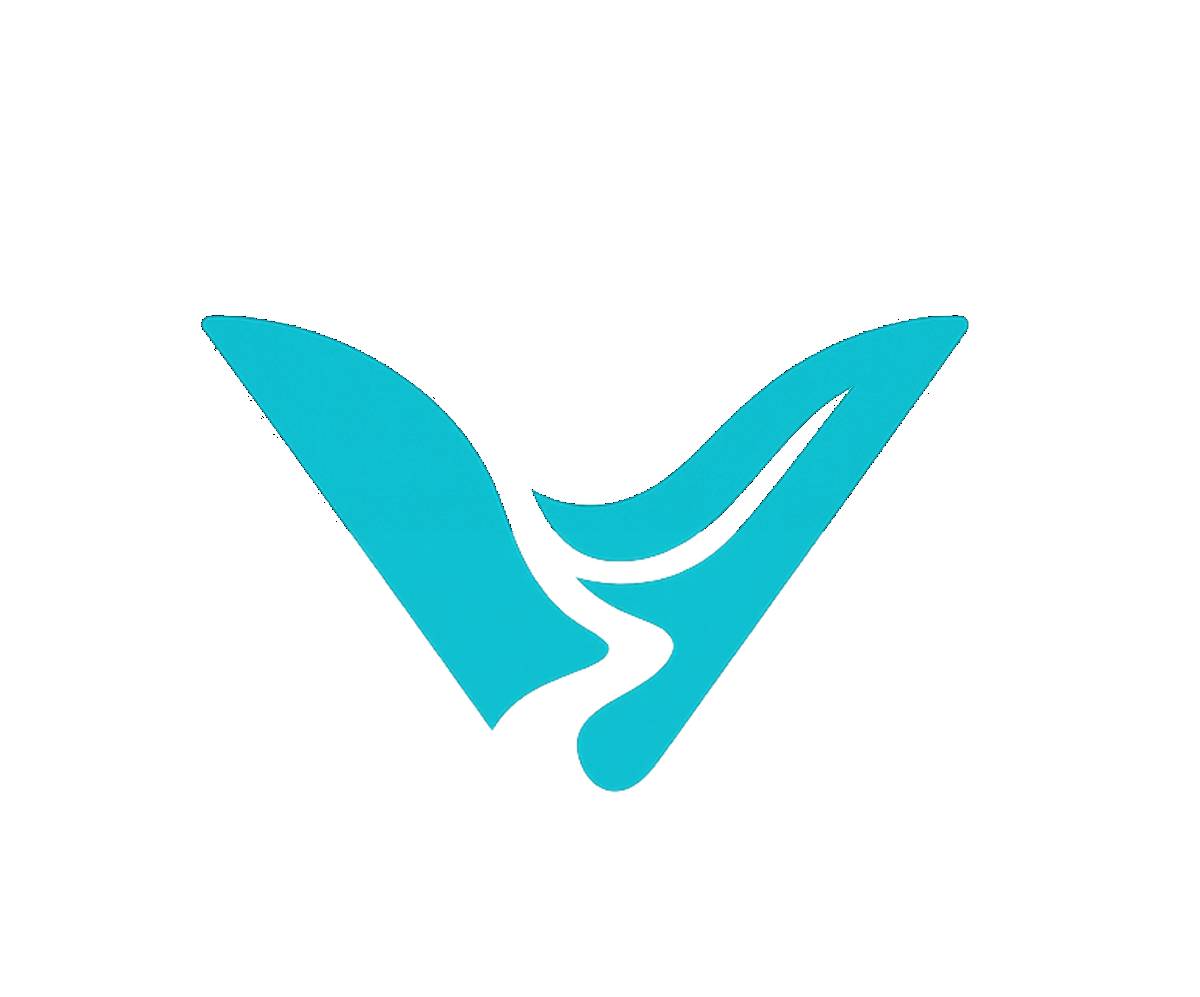 バレーサイドITソリューションズ 代表プロフィール